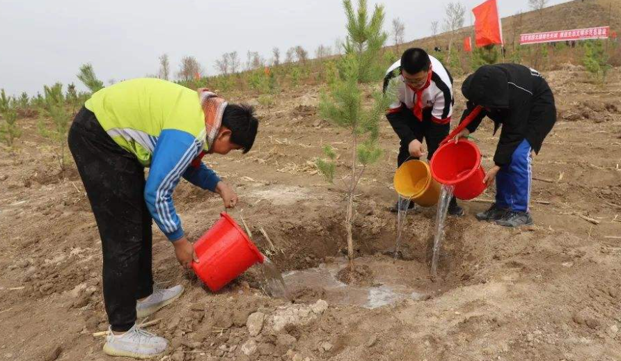 植树造林的意义