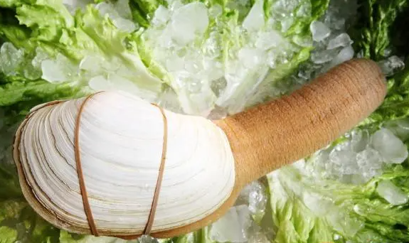 象拔蚌的营养价值