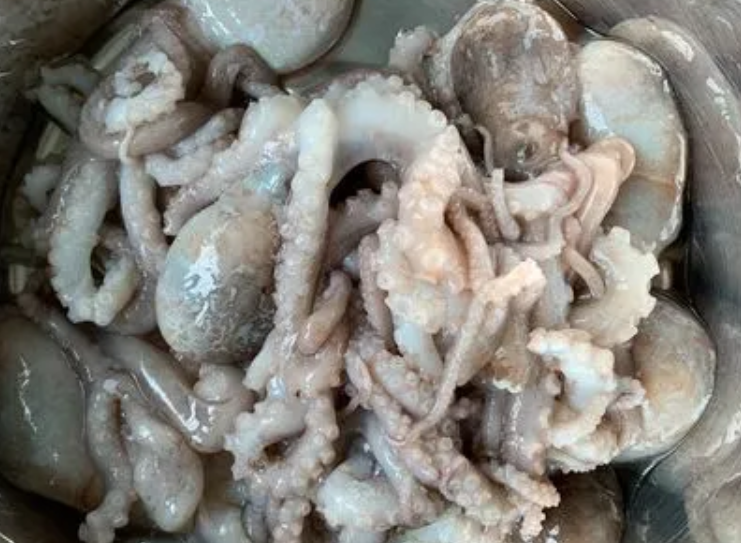 八爪鱼怎么处理干净