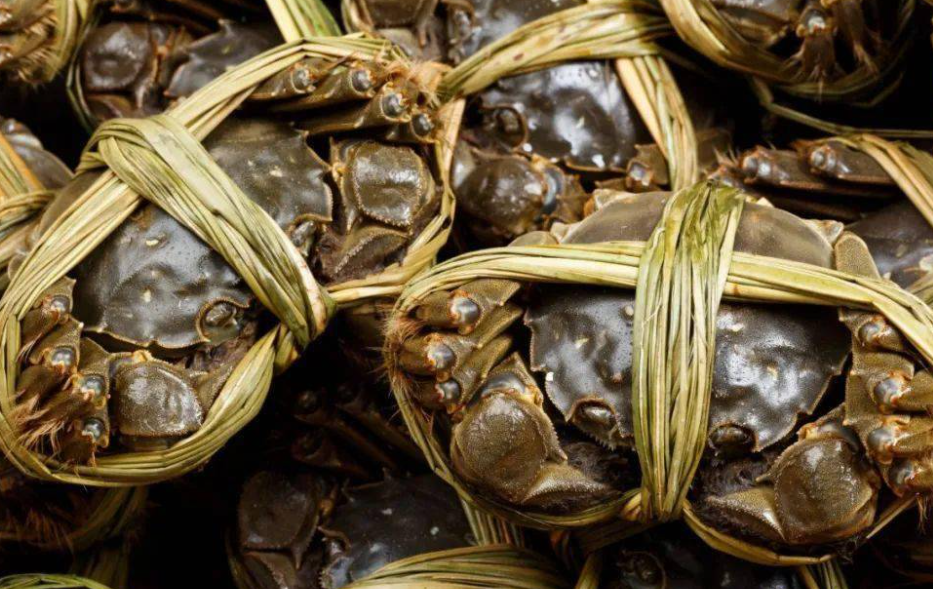 螃蟹怎么存放活的时间长一点