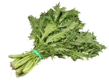 雪菜为什么叫雪里红