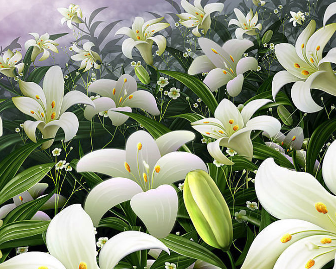 百合花的花语和寓意是什么呢