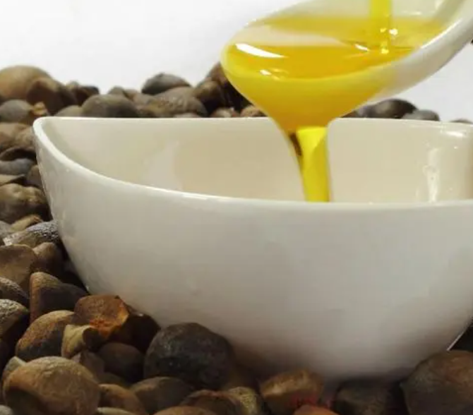 油茶籽油多少钱一斤