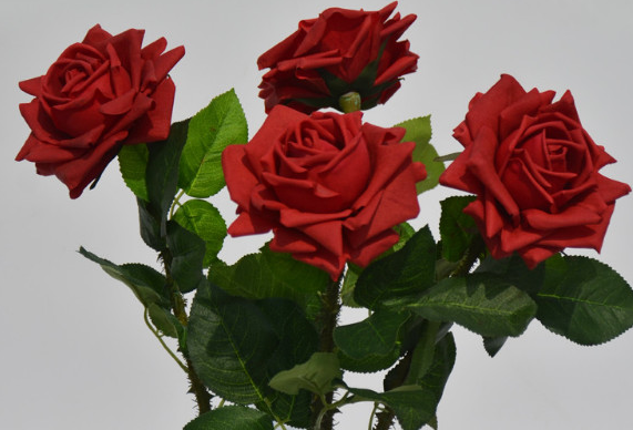 玫瑰花多少钱一支