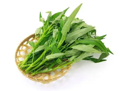 如何让空心菜快速生根