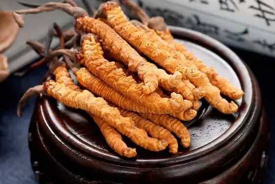 冬虫夏草一根多少元