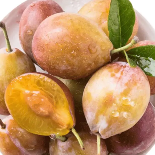 西梅是什么季节的水果