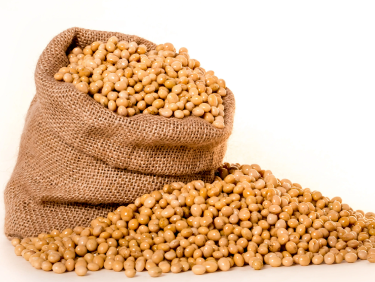 黑土地种什么最赚钱