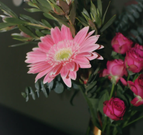 鲜花如何保鲜更长时间