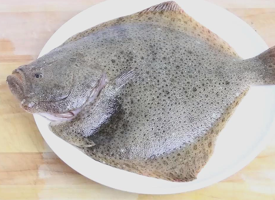 多宝鱼多少钱一斤