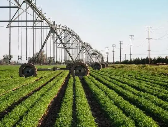 农业网址有哪些