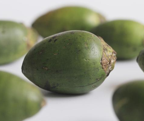 槟榔是什么样的