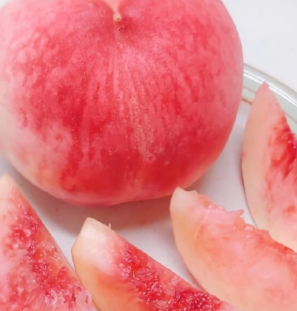 日本水蜜桃桃子