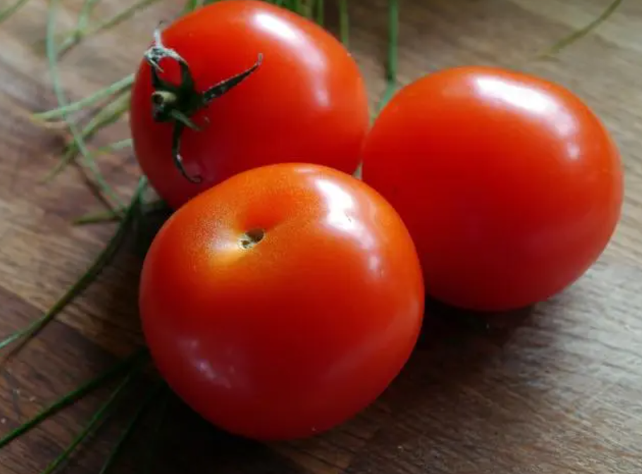 番茄主要病虫害