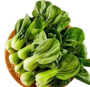 矮脚菜籽怎么种？