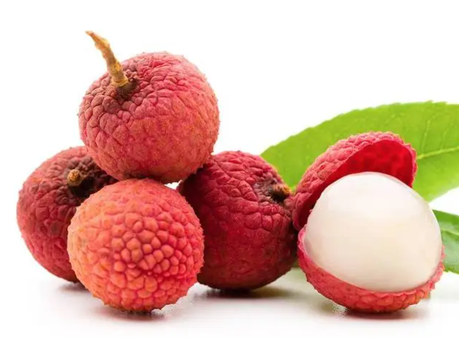 荔枝几月份成熟