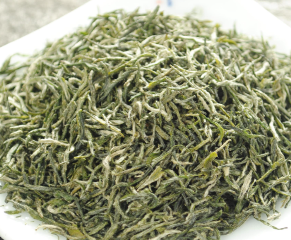 信阳毛尖是什么茶