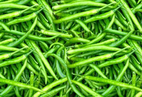 世界最辣的辣椒是什么呢