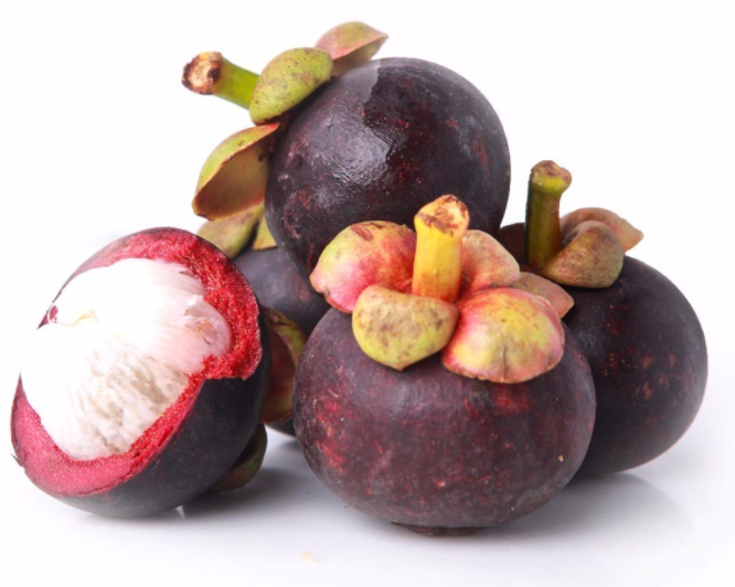 山竹长在地下还是树上