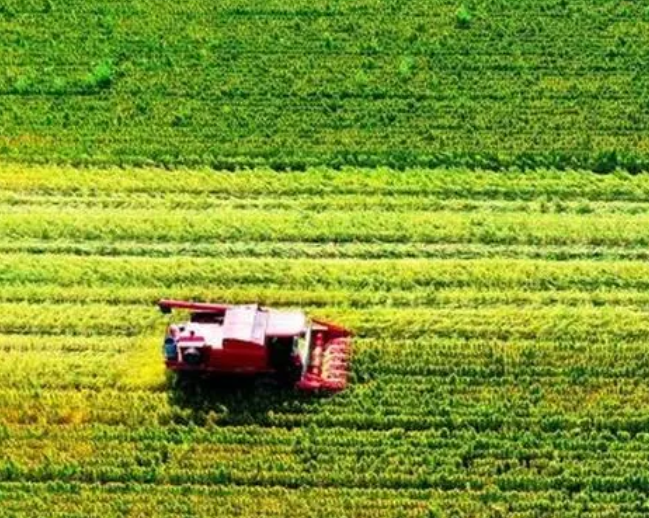 农业致富信息网是什么呢