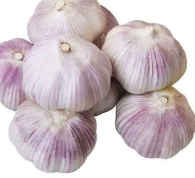 种植大蒜用什么肥料好