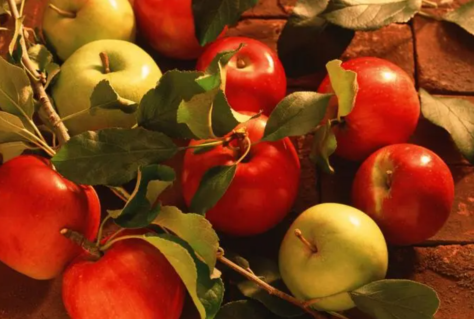 秋天成熟的水果有哪些