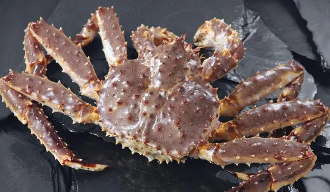 帝王蟹多少钱一斤