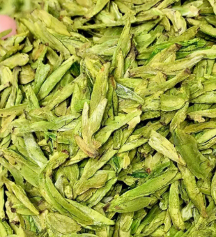 龙井茶属于什么茶