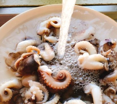 八爪鱼怎么清洗