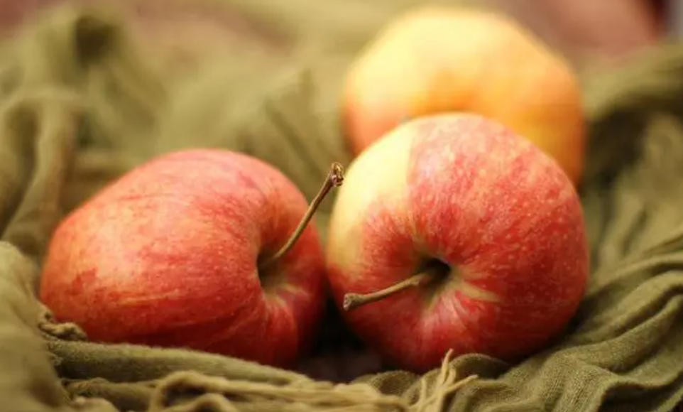 秋天的果实图片