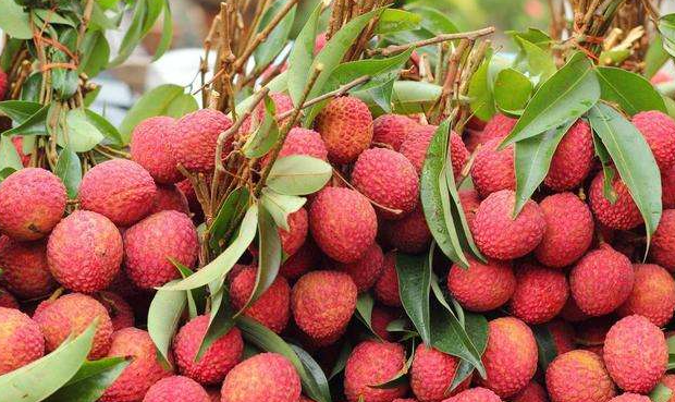 荔枝怎么保鲜时间长