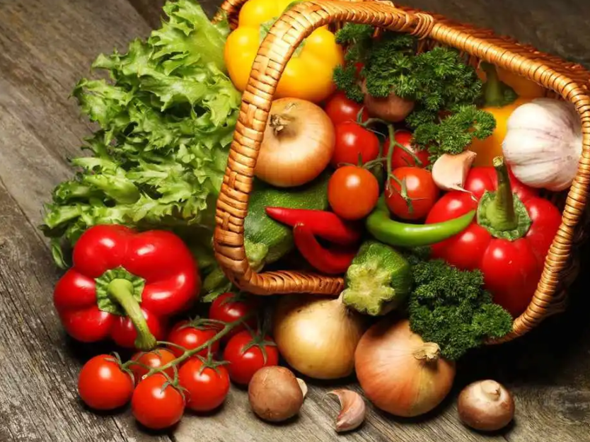 露台适合种什么植物