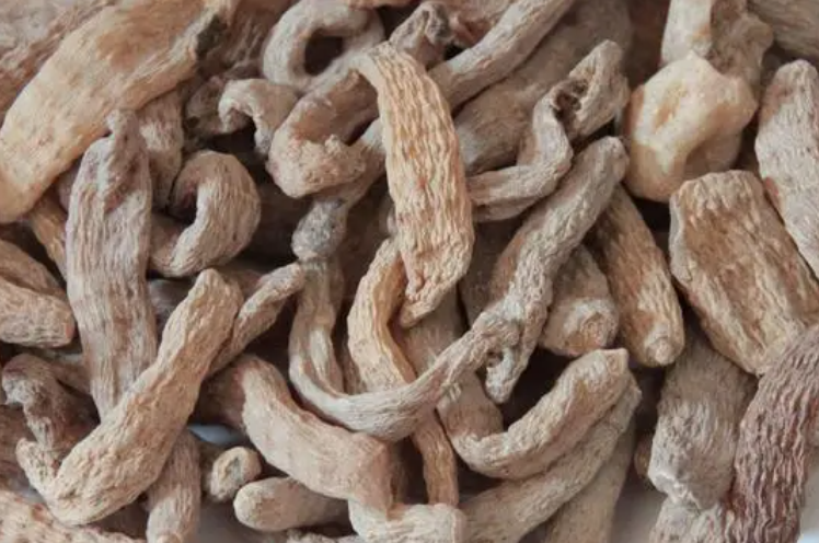 东北适合种什么药材