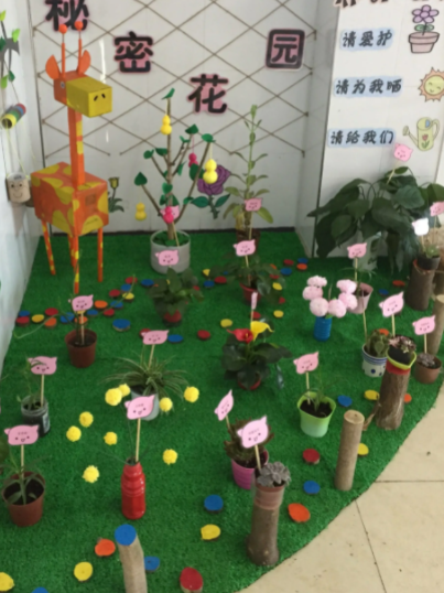 幼儿园适合种什么植物