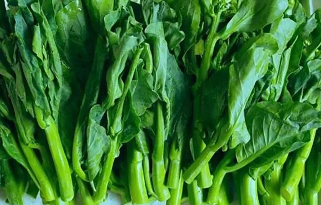 南方现在适合种什么菜