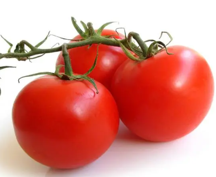 现在这个季节适合种什么菜