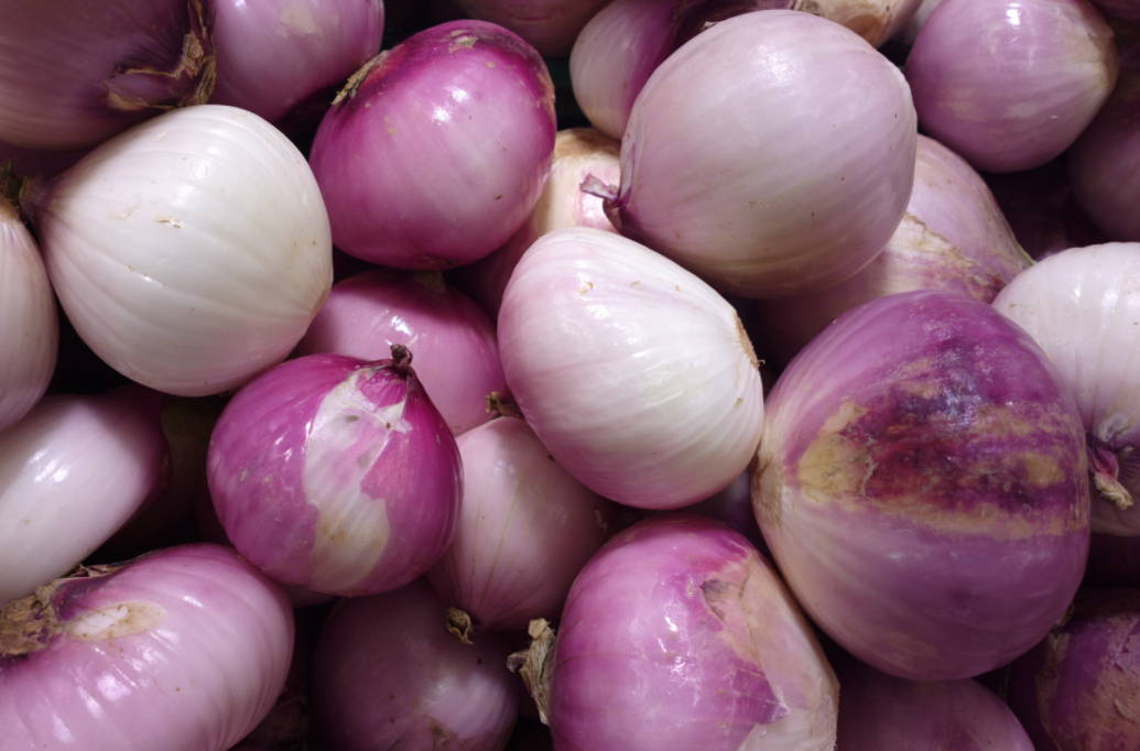 沙土地适合种什么蔬菜