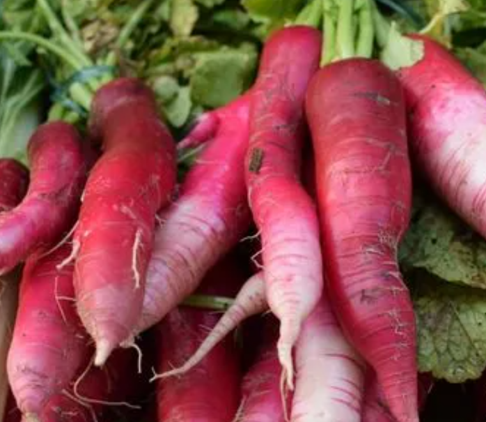 11月适合种什么菜