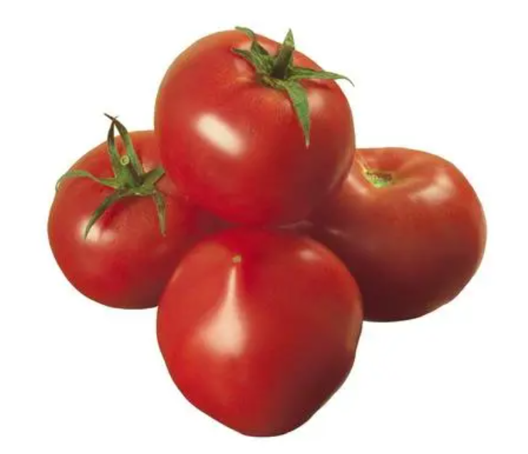 五月初适合种什么菜