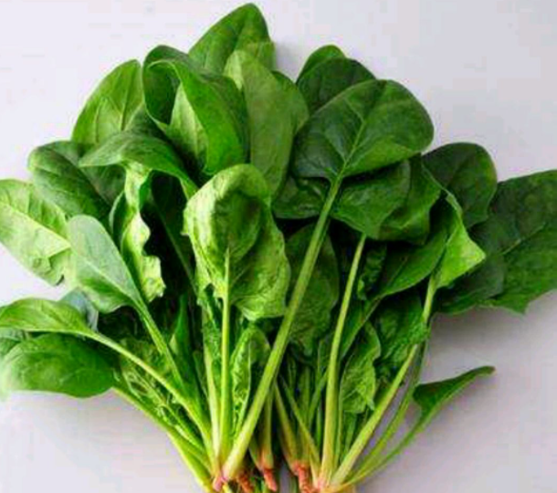 秋冬适合种什么菜