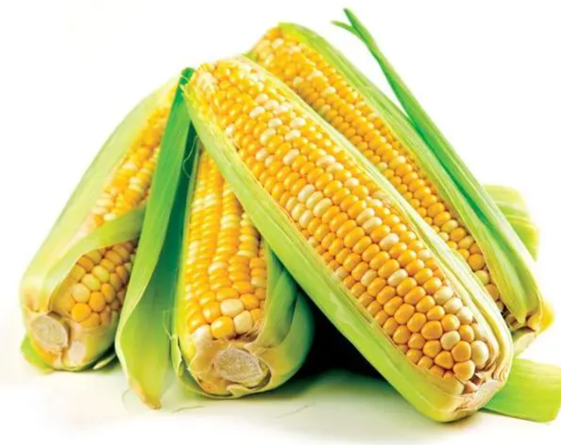 黑土地适合种什么