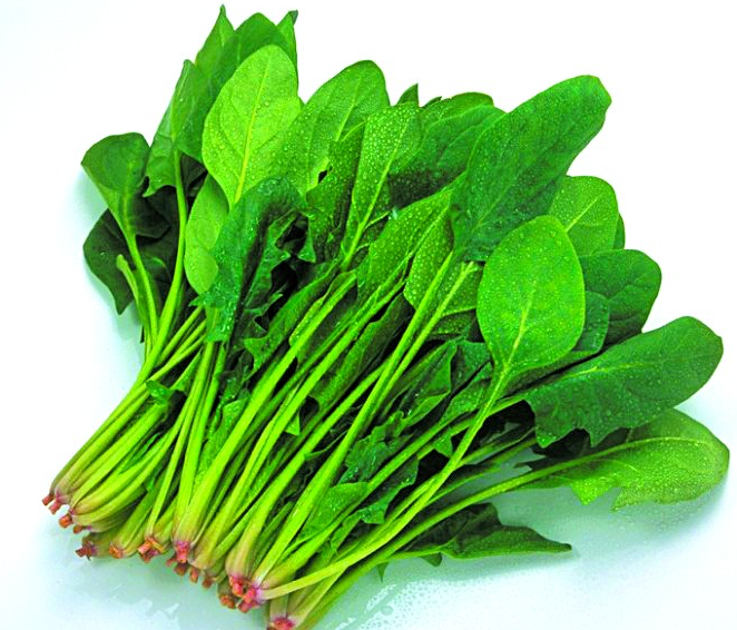 10月适合种什么蔬菜