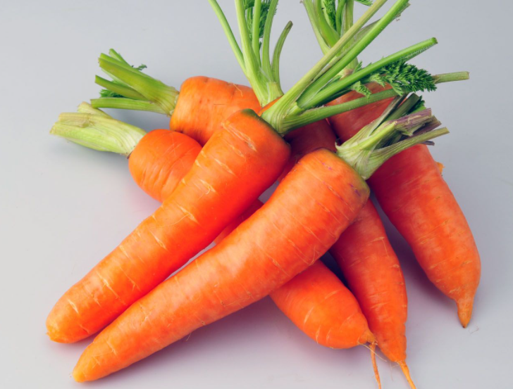 沙子地适合种什么蔬菜