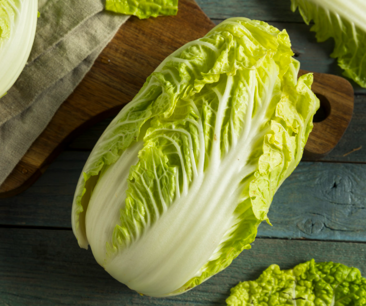 十月适合种什么蔬菜