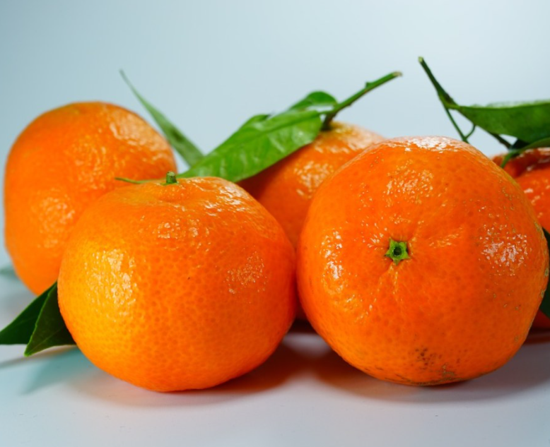 赣州适合种什么水果