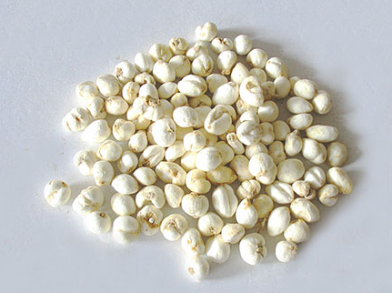 重庆适合种什么药材