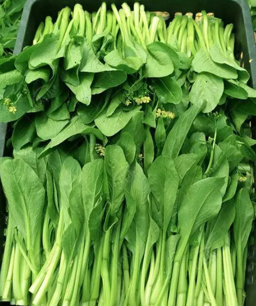 广东秋季适合种什么菜