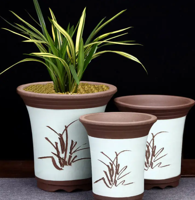 紫砂花盆适合种什么花好