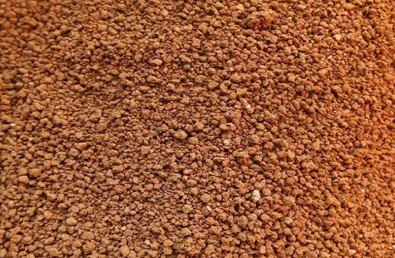 胶泥土适合种什么