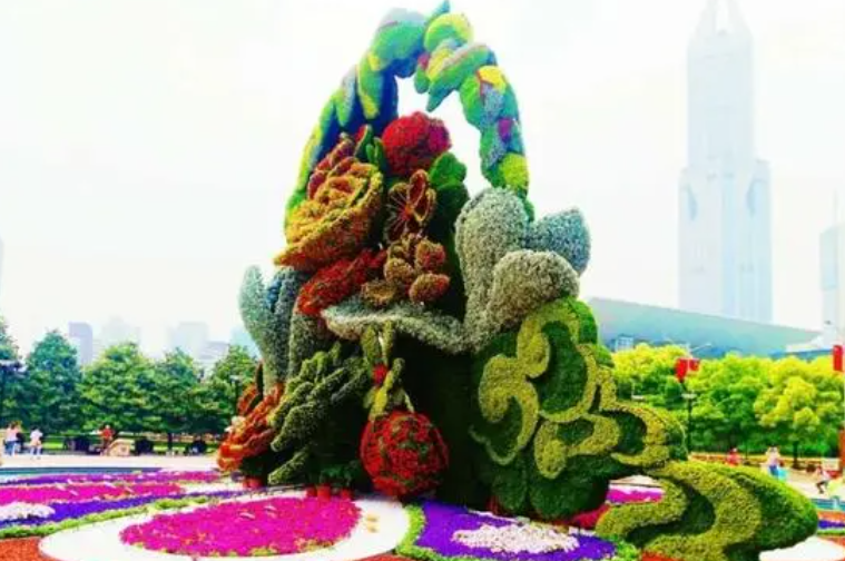 花坛适合种什么植物